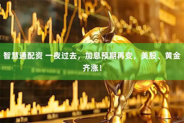 智慧通配资 一夜过去，加息预期再变，美股、黄金齐涨！